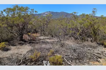 0 Pony Trail, Anza, CA 92539 - Photo 16