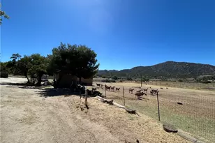 45015 Carrot, Aguanga, CA 92536 - Photo 52