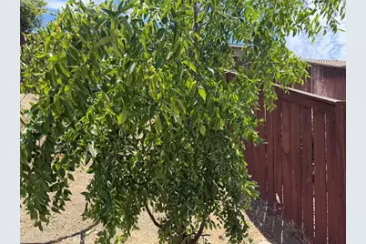 29535 Hyperion, Murrieta, CA 92563 - Photo 48