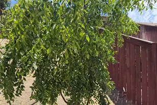 29535 Hyperion, Murrieta, CA 92563 - Photo 48