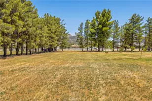 49585 Flightline Way, Aguanga, CA 92536 - Photo 10