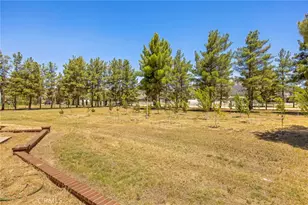 49585 Flightline Way, Aguanga, CA 92536 - Photo 8