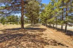 49585 Flightline Way, Aguanga, CA 92536 - Photo 14