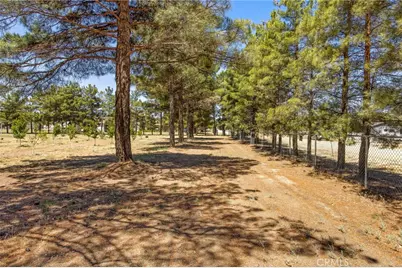 49585 Flightline Way, Aguanga, CA 92536 - Photo 14