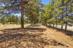 49585 Flightline Way, Aguanga, CA 92536 - Photo 14