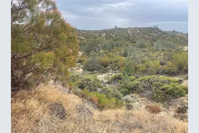 56768 Dickson Hills Road, Anza, CA 92539 - Photo 34