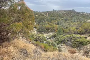 56768 Dickson Hills Rd, Anza, CA 92539 - Photo 34