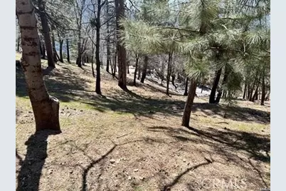 41 Fredalba Road, Running Springs, CA 92382 - Photo 6
