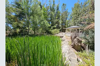 49500 Meadowview, Aguanga, CA 92536 - Photo 10
