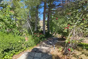 49500 Meadowview, Aguanga, CA 92536 - Photo 6