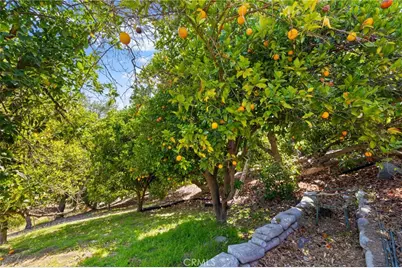 1832 Camino Rainbow, Fallbrook, CA 92028 - Photo 52