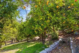 1832 Camino Rainbow, Fallbrook, CA 92028 - Photo 52
