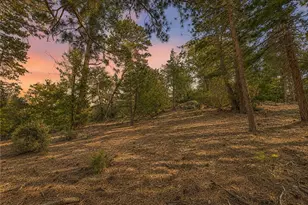 25400 Marion Ridge Dr, Idyllwild, CA 92549 - Photo 8