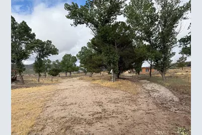 45051 Bonny Lane, Aguanga, CA 92536 - Photo 8