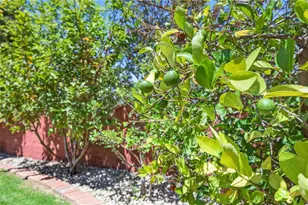 39502 Cedarwood Dr, Murrieta, CA 92563 - Photo 28