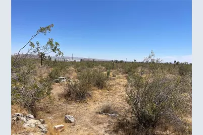 0 213th, Llano, CA 93544 - Photo 6