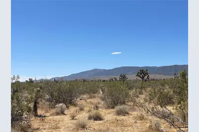 0 213th, Llano, CA 93544 - Photo 2