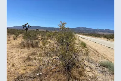0 213th, Llano, CA 93544 - Photo 8
