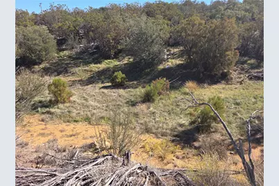 0 Taron Trail, Anza, CA 92539 - Photo 12