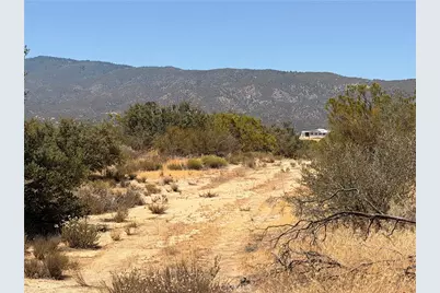 58650 Wellman Rd, Anza, CA 92539 - Photo 4