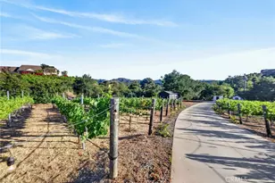 44880 Via Vaquero, Temecula, CA 92590 - Photo 44