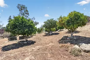 33465 Wild Lilac, Menifee, CA 92584 - Photo 70