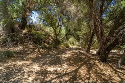 39325 Highway 79, Aguanga, CA 92536 - Photo 10