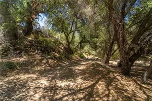 39325 Hwy 79, Aguanga, CA 92536 - Photo 10