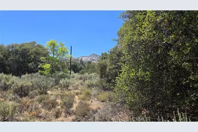 38375 Indian Road, Anza, CA 92539 - Photo 4