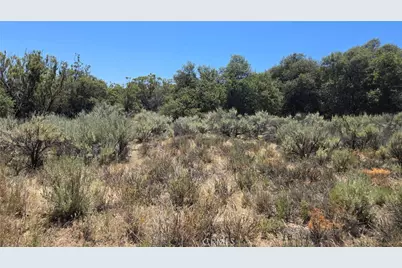 38375 Indian Road, Anza, CA 92539 - Photo 6