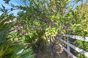 30767 Calle Pina Colada, Temecula, CA 92591 - Photo 68