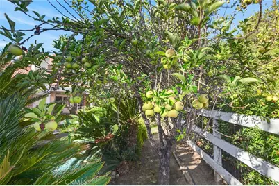 30767 Calle Pina Colada, Temecula, CA 92591 - Photo 66