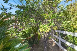30767 Calle Pina Colada, Temecula, CA 92591 - Photo 66