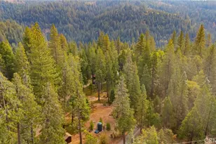 25833 Lyons Dm Rd, Twain Harte, CA 95383 - Photo 58
