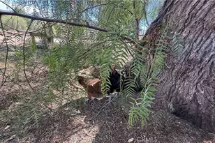 21280 Cielo Vista, Wildomar, CA 92595 - Photo 44