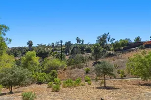 3927 Limber Pine, Fallbrook, CA 92028 - Photo 50