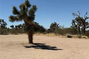 6473 Chevoit, Phelan, CA 92371 - Photo 32