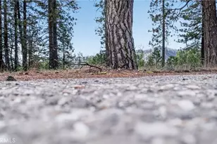 2500 Round Valley Rd, Greenville, CA 95947 - Photo 70