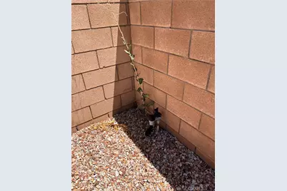 26318 Desert Rose, Menifee, CA 92586 - Photo 30