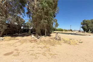 39100 Desert View Rd, Newberry Springs, CA 92365 - Photo 34