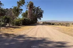 39100 Desert View Rd, Newberry Springs, CA 92365 - Photo 44