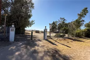 39100 Desert View Rd, Newberry Springs, CA 92365 - Photo 46