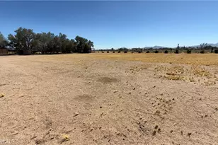 39100 Desert View Rd, Newberry Springs, CA 92365 - Photo 32