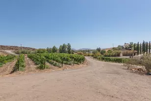 37890 Normandy, Winchester, CA 92596 - Photo 66