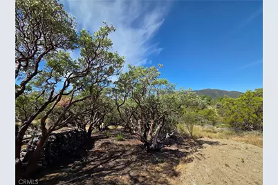 0 Garnet, Anza, CA 92539 - Photo 38