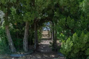 39875 Bautista Rd, Anza, CA 92539 - Photo 32