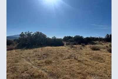 44243 Chapman, Anza, CA 92539 - Photo 10