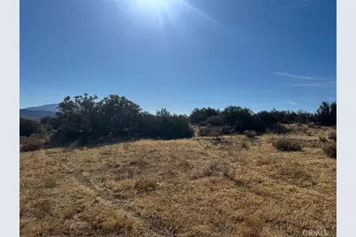 44243 Chapman, Anza, CA 92539 - Photo 10