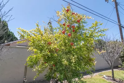 6072 Chinook Ave., Westminster, CA 92683 - Photo 36