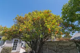 6072 Chinook Ave, Westminster, CA 92683 - Photo 34